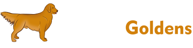 Nadina Golden Retrievers | "My Site"